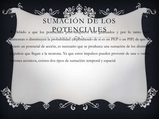 SUMACIÓN DE LOS
POTENCIALES Debido a que los potenciales post-sinápticos son graduados y por lo tanto solo
aumentan o disminuyen la probabilidad (dependiendo de si es un PEP o un PIP) de que se
genere un potencial de acción, es necesario que se produzca una sumación de los distintos
impulsos que llegan a la neurona. Ya que estos impulsos pueden provenir de una o varios
botones axónicos, existen dos tipos de sumación: temporal y espacial
 