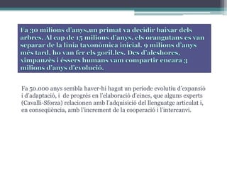 Fa 50.000 anys sembla haver-hi hagut un període evolutiu d’expansió
i d’adaptació, i de progrés en l’elaboració d’eines, que alguns experts
(Cavalli-Sforza) relacionen amb l’adquisició del llenguatge articulat i,
en conseqüència, amb l’increment de la cooperació i l’intercanvi.

 