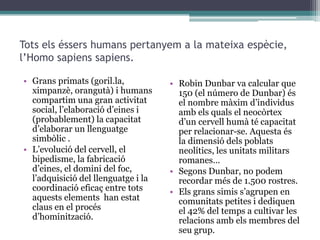 Tots els éssers humans pertanyem a la mateixa espècie,
l’Homo sapiens sapiens.
• Grans primats (goril.la,
ximpanzè, orangutà) i humans
compartim una gran activitat
social, l’elaboració d’eines i
(probablement) la capacitat
d’elaborar un llenguatge
simbòlic .
• L’evolució del cervell, el
bipedisme, la fabricació
d’eines, el domini del foc,
l’adquisició del llenguatge i la
coordinació eficaç entre tots
aquests elements han estat
claus en el procés
d’hominització.

• Robin Dunbar va calcular que
150 (el número de Dunbar) és
el nombre màxim d’individus
amb els quals el neocòrtex
d’un cervell humà té capacitat
per relacionar-se. Aquesta és
la dimensió dels poblats
neolítics, les unitats militars
romanes…
• Segons Dunbar, no podem
recordar més de 1.500 rostres.
• Els grans simis s’agrupen en
comunitats petites i dediquen
el 42% del temps a cultivar les
relacions amb els membres del
seu grup.

 