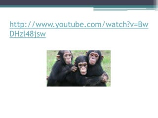 http://www.youtube.com/watch?v=Bw
DHzl48jsw

 