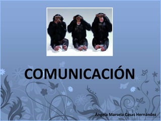 COMUNICACIÓN<br />Ángela Marsela Casas Hernández<br />
