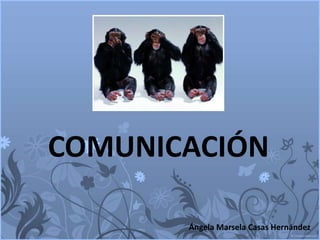 COMUNICACIÓN Ángela Marsela Casas Hernández 