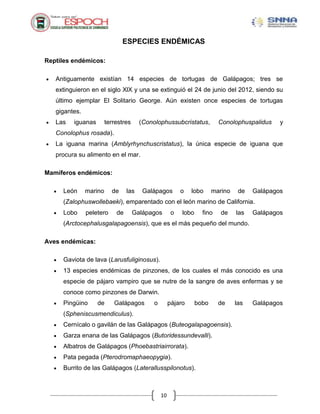 10
ESPECIES ENDÉMICAS
Reptiles endémicos:
Antiguamente existían 14 especies de tortugas de Galápagos; tres se
extinguieron en el siglo XlX y una se extinguió el 24 de junio del 2012, siendo su
último ejemplar El Solitario George. Aún existen once especies de tortugas
gigantes.
Las iguanas terrestres (Conolophussubcristatus, Conolophuspalidus y
Conolophus rosada).
La iguana marina (Amblyrhynchuscristatus), la única especie de iguana que
procura su alimento en el mar.
Mamíferos endémicos:
León marino de las Galápagos o lobo marino de Galápagos
(Zalophuswollebaeki), emparentado con el león marino de California.
Lobo peletero de Galápagos o lobo fino de las Galápagos
(Arctocephalusgalapagoensis), que es el más pequeño del mundo.
Aves endémicas:
Gaviota de lava (Larusfuliginosus).
13 especies endémicas de pinzones, de los cuales el más conocido es una
especie de pájaro vampiro que se nutre de la sangre de aves enfermas y se
conoce como pinzones de Darwin.
Pingüino de Galápagos o pájaro bobo de las Galápagos
(Spheniscusmendiculus).
Cernícalo o gavilán de las Galápagos (Buteogalapagoensis).
Garza enana de las Galápagos (Butoridessundevalli).
Albatros de Galápagos (Phoebastriairrorata).
Pata pegada (Pterodromaphaeopygia).
Burrito de las Galápagos (Laterallusspilonotus).
 