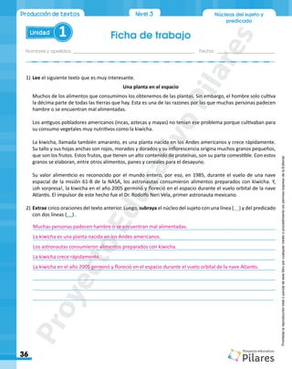 Ficha de trabajo
Nombres y apellidos:_________________________________________________ Fecha: ________________________
36
Unidad 1
Núcleos del sujeto y
predicado
Producción de textos Nivel1
Nivel 3
Prohibida
la
reproducción
total
o
parcial
de
este
libro
por
cualquier
medio
o
procedimiento
sin
permiso
expreso
de
la
Editorial.
1)	Lee el siguiente texto que es muy interesante.
Una planta en el espacio
Muchos de los alimentos que consumimos los obtenemos de las plantas. Sin embargo, el hombre solo cultiva
la décima parte de todas las tierras que hay. Esta es una de las razones por las que muchas personas padecen
hambre o se encuentran mal alimentadas.
Los antiguos pobladores americanos (incas, aztecas y mayas) no tenían ese problema porque cultivaban para
su consumo vegetales muy nutritivos como la kiwicha.
La kiwicha, llamada también amaranto, es una planta nacida en los Andes americanos y crece rápidamente.
Su tallo y sus hojas anchas son rojos, morados y dorados y su inflorescencia origina muchos granos pequeños,
que son los frutos. Estos frutos, que tienen un alto contenido de proteínas, son su parte comestible. Con estos
granos se elaboran, entre otros alimentos, panes y cereales para el desayuno.
Su valor alimenticio es reconocido por el mundo entero, por eso, en 1985, durante el vuelo de una nave
espacial de la misión 61-B de la NASA, los astronautas consumieron alimentos preparados con kiwicha. Y,
¡oh sorpresa!, la kiwicha en el año 2005 germinó y floreció en el espacio durante el vuelo orbital de la nave
Atlantis. El impulsor de este hecho fue el Dr. Rodolfo Neri Vela, primer astronauta mexicano.
2)	Extrae cinco oraciones del texto anterior. Luego, subraya el núcleo del sujeto con una línea (__) y del predicado
con dos líneas (__) .
________________________________________________________________________________________
________________________________________________________________________________________
________________________________________________________________________________________
________________________________________________________________________________________
________________________________________________________________________________________
________________________________________________________________________________________
________________________________________________________________________________________
________________________________________________________________________________________
Muchas personas padecen hambre o se encuentran mal alimentadas.
La kiwicha es una planta nacida en los Andes americanos.
Los astronautas consumieron alimentos preparados con kiwicha.
La kiwicha crece rápidamente.
La kiwicha en el año 2005 germinó y floreció en el espacio durante el vuelo orbital de la nave Atlantis.
P
r
o
y
e
c
t
o
E
d
u
c
a
t
i
v
o
P
i
l
a
r
e
s
 