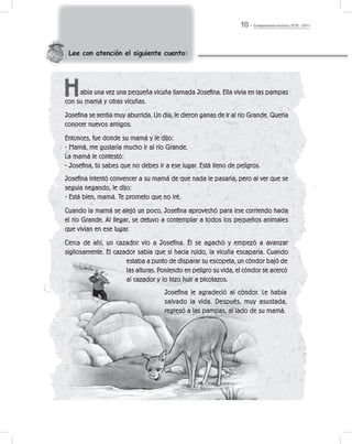 Comprensión lectora / ECE - 201110
Lee con atención el siguiente cuento:
abía una vez una pequeña vicuña llamada Josefina. Ella vivía en las pampas
con su mamá y otras vicuñas.
Josefina se sentía muy aburrida. Un día, le dieron ganas de ir al río Grande. Quería
conocer nuevos amigos.
Entonces, fue donde su mamá y le dijo:
- Mamá, me gustaría mucho ir al río Grande.
La mamá le contestó:
- Josefina, tú sabes que no debes ir a ese lugar. Está lleno de peligros.
Josefina intentó convencer a su mamá de que nada le pasaría, pero al ver que se
seguía negando, le dijo:
- Está bien, mamá. Te prometo que no iré.
Cuando la mamá se alejó un poco, Josefina aprovechó para irse corriendo hacia
el río Grande. Al llegar, se detuvo a contemplar a todos los pequeños animales
que vivían en ese lugar.
Cerca de ahí, un cazador vio a Josefina. Él se agachó y empezó a avanzar
sigilosamente. El cazador sabía que si hacía ruido, la vicuña escaparía. Cuando
H
estaba a punto de disparar su escopeta, un cóndor bajó de
las alturas. Poniendo en peligro su vida, el cóndor se acercó
al cazador y lo hizo huir a picotazos.
Josefina le agradeció al cóndor. Le había
salvado la vida. Después, muy asustada,
regresó a las pampas, al lado de su mamá.
 
