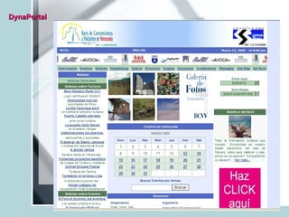 DynaPortal 