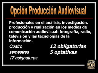 Opción Producción Audiovisual Cuatro semestres 17 asignaturas Profesionales en el análisis, investigación, producción y realización en los medios de comunicación audiovisual: fotografía, radio, televisión y las tecnologías de la información. 12 obligatorias 5 optativas 