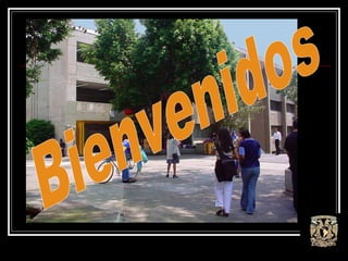 Bienvenidos 