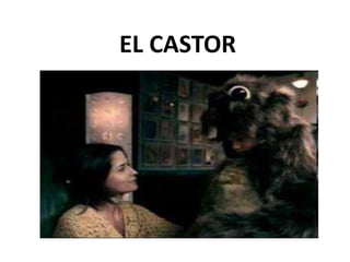 EL CASTOR
 