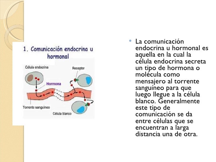Comunicación Celular