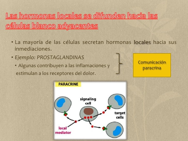 Comunicación celular