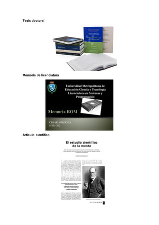 Tesis doctoral
Memoria de licenciatura
Artículo científico