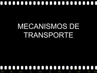 MECANISMOS DE
          TRANSPORTE



>>   0   >>   1   >>   2   >>   3   >>   4   >>
 