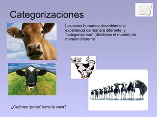 Categorizaciones   Los seres humanos describimos la experiencia de manera diferente, y “categorizamos” (dividimos el mundo) de manera diferente   ¿ Cuántas “patas” tiene la vaca? 