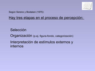 Según Sereno y Bodaken (1975):  Hay tres etapas en el proceso de percepción:  Selección Organización  (p.ej. figura-fondo, categorización) Interpretación de estímulos externos y internos 