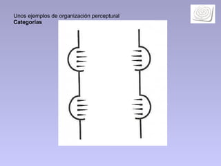 Unos ejemplos de organización perceptural  Categorías  