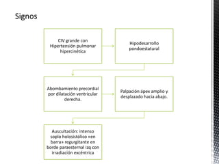 CIV grande con 
Hipertensión pulmonar 
hipercinética 
Hipodesarrollo 
pondoestatural 
Abombamiento precordial 
por dilatación ventricular 
derecha. 
Palpación ápex amplio y 
desplazado hacia abajo. 
Auscultación: intenso 
soplo holosistólico «en 
barra» regurgitante en 
borde paraesternal izq con 
irradiación excéntrica 
 