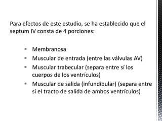 Para efectos de este estudio, se ha establecido que el 
septum IV consta de 4 porciones: 
 Membranosa 
 Muscular de entrada (entre las válvulas AV) 
 Muscular trabecular (separa entre sí los 
cuerpos de los ventrículos) 
 Muscular de salida (infundibular) (separa entre 
si el tracto de salida de ambos ventrículos) 
 