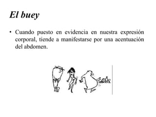El buey
• Cuando puesto en evidencia en nuestra expresión
  corporal, tiende a manifestarse por una acentuación
  del abdomen.
 