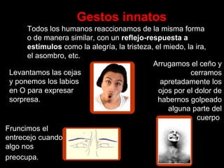 Gestos innatos 
Todos los humanos reaccionamos de la misma forma o de manera similar, con un reflejo-respuesta a estímulos como la alegría, la tristeza, el miedo, la ira, el asombro, etc. 
Levantamos las cejas y ponemos los labios en O para expresar sorpresa. 
Fruncimos el entrecejo cuando algo nos 
preocupa. 
Arrugamos el ceño y cerramos apretadamente los ojos por el dolor de habernos golpeado alguna parte del cuerpo.  