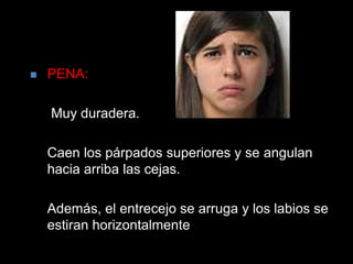 PENA: Muy duradera. Caen los párpados superiores y se angulan hacia arriba las cejas. Además, el entrecejo se arruga y los labios se estiran horizontalmente  