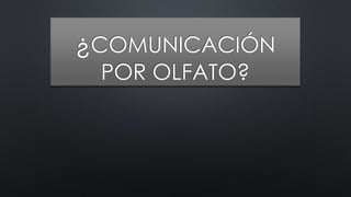 ¿COMUNICACIÓN
POR OLFATO?
 
