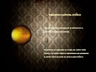 . Inteligencia corporal cinética Tipo de competencia humana que se destaca por la realización de acciones motrices.   Se destacan las habilidades de control del cuerpo sobre objetos, y el dominio efectivo para dimensionar mentalmente el espacio físico en donde se lleva la labor práctica.  