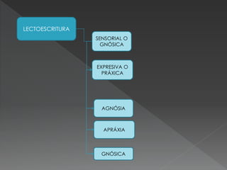 LECTOESCRITURA
SENSORIAL O
GNÓSICA
EXPRESIVA O
PRÁXICA
AGNÓSIA
APRÁXIA
GNÓSICA
 