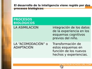 El desarrollo de la inteligencia viene regido por dos
procesos biológicos:



PROCESOS
BIOLÓGICOS
LA ASIMILACION            integración de los datos
                          de la experiencia en los
                          esquemas cognitivos
                          previos del niño.
LA “ACOMODACIÓN” o        Transformación de
ADAPTACIÓN                estos esquemas en
                          función de los nuevos
                          hechos y experiencias.


                               WWW.YOUR-SCHOOL-URL.COM
 