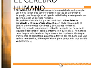 EL CEREBRO
HUMANO
• El cerebro y el lenguaje humano se han modelado mutuamente:
  Los niños tienen que tener cerebros capaces de aprender el
  lenguaje, y el lenguaje es el tipo de actividad que sólo puede ser
  aprendida por un cerebro humano.
  El cerebro consta de dos partes simétricas: elhemisferio
  izquierdo y el hemisferio derecho; en cada zona reside el
  control de diferentes funciones y actividades humanas.
  En la mayoría de las personas, el habla depende del hemisferio
  izquierdo del cerebro. Toda la información que llega al hemisferio
  derecho procedente de un órgano receptor izquierdo, tiene que
  transferirse al hemisferio izquierdo a través del conducto que une
  ambos hemisferios, el cuerpo calloso, para que pueda expresarse
  verbalmente...




                                         WWW.YOUR-SCHOOL-URL.COM
 