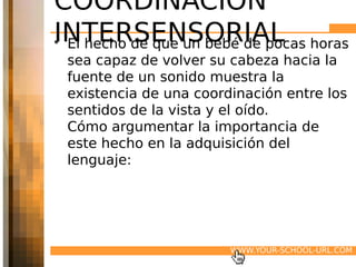 COORDINACIÓN
INTERSENSORIAL horas
• El hecho de que un bebé de pocas
 sea capaz de volver su cabeza hacia la
 fuente de un sonido muestra la
 existencia de una coordinación entre los
 sentidos de la vista y el oído.
 Cómo argumentar la importancia de
 este hecho en la adquisición del
 lenguaje:




                        WWW.YOUR-SCHOOL-URL.COM
 