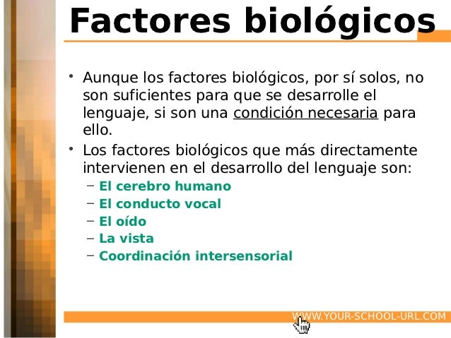 Comunicación y lenguaje. unidad 2