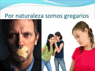 Por naturaleza somos gregarios
 