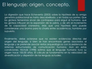 El lenguaje: origen, concepto.
Finalmente, debe aclararse que no existen evidencias directas del
origen del lenguaje, si bien se han encontrado genes asociados al
lenguaje y se pretende asociar restos arqueológicos con la existencia de
sistemas estructurados de comunicación humana. Aún en estas
condiciones, Nichols (1998) estima que el lenguaje humano tuvo su
origen hace 100,00 años. El cálculo se fundamenta en la velocidad de
diversificación y dispersión de las lenguas actuales.
La digresión que hace Echeverría (2003) sobre la hipótesis de su amigo
genetista poblacional es harto descabellada, y en todas sus partes: Que
los glúteos femeninos sirvan de contrapeso para erguir al humano, que
los glúteos influyan en la expansión de la pelvis, y de ahí al incremento
de la capacidad craneana. Más que una hipótesis esto puede
considerarse una broma para la charla entre académicos, hombres por
supuesto.
 