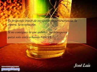 Te propongo tratar de recuperar la perseverancia, la espera, la aceptación.  Si no consigues lo que anhelas, no desesperes...  quizá solo estés echando  raíces.... 