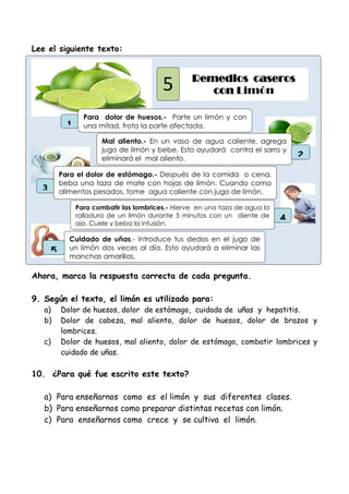 Lee el siguiente texto:
Ahora, marca la respuesta correcta de cada pregunta.
9. Según el texto, el limón es utilizado para:
a) Dolor de huesos, dolor de estómago, cuidado de uñas y hepatitis.
b) Dolor de cabeza, mal aliento, dolor de huesos, dolor de brazos y
lombrices.
c) Dolor de huesos, mal aliento, dolor de estómago, combatir lombrices y
cuidado de uñas.
10. ¿Para qué fue escrito este texto?
a) Para enseñarnos como es el limón y sus diferentes clases.
b) Para enseñarnos como preparar distintas recetas con limón.
c) Para enseñarnos como crece y se cultiva el limón.
Remedios caseros
con Limón5
Para dolor de huesos.- Parte un limón y con
una mitad, frota la parte afectada.1
Mal aliento.- En un vaso de agua caliente, agrega
jugo de limón y bebe. Esto ayudará contra el sarro y
eliminará el mal aliento. 2
Para el dolor de estómago.- Después de la comida o cena,
beba una taza de mate con hojas de limón. Cuando coma
alimentos pesados, tome agua caliente con jugo de limón.3
Para combatir las lombrices.- Hierve en una taza de agua la
ralladura de un limón durante 5 minutos con un diente de
ajo. Cuele y beba la infusión.
4
Cuidado de uñas.- Introduce tus dedos en el jugo de
un limón dos veces al día. Esto ayudará a eliminar las
manchas amarillas.
5
 