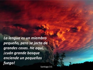 La lengua es un miembro
pequeño, pero se jacta de
grandes cosas. He aquí,
¡cuán grande bosque
enciende un pequeños
fuego!
                     Santiago 3:5
 
