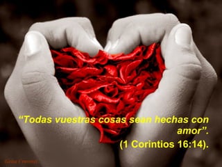 “ Todas vuestras cosas sean hechas con amor”. (1 Corintios 16:14). 