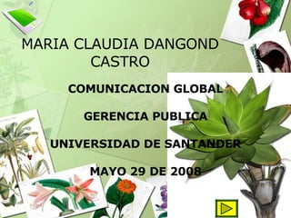 MARIA CLAUDIA DANGOND CASTRO COMUNICACION GLOBAL GERENCIA PUBLICA UNIVERSIDAD DE SANTANDER MAYO 29 DE 2008 