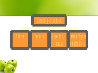 C olores Vestuario Posesión de
artefactos
Sistem as lógicos
y m atem áticos
O tros códigos hum anos
 