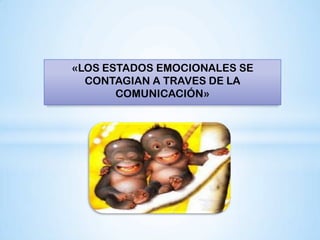 «LOS ESTADOS EMOCIONALES SE
  CONTAGIAN A TRAVES DE LA
       COMUNICACIÓN»
 