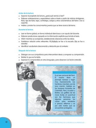68 MOVILIZACIÓN NACIONAL POR LA MEJORA DE LOS APRENDIZAJES
Antes de la lectura
Exponer el propósito de lectura, ¿para qué vamos a leer?
Elaborar anticipaciones y expectativas sobre el texto a partir de indicios (imágenes,
título, tipo de texto, tapa, contratapa, solapa y otras características del texto o de su
soporte).
Hablar y anotar los conocimientos previos que se tiene acerca del tema.
Durante la lectura
Leer en forma global, en forma individual silenciosa o con ayuda del docente.
Elaborar predicciones apoyado en la información explícita que brinda el texto.
Inferir mientras se va leyendo, estableciendo relaciones entre las ideas.
Establecer relación entre referentes. P.Ej.Rafaela se fue a la escuela. Ella se fue a
estudiar.
Identificar vocabulario desconocido y deducirlo por el contexto.
Después de la lectura
Dialogar con sus compañeros para intercambiar ideas y comparar su comprensión.
Relatar lo que se ha leído.
Expresar lo comprendido en otros lenguajes, para observar si el lector entendió.
Es el ave nacional del Perú.
El macho tiene un
plumaje naranja y negro
muy impresionante. Las
hembras, mas bien, son de
tono marrón. Habitan en
los bosques húmedos de
Colombia, Perú, Ecuador y
Bolivia. Los gallitos de las
rocas (tunky, en quechua)
son tan hermosos que
algunas personas los
cazan para venderlos
a precios altísimos y es
por este motivo que se
encuentran protegidos.
 