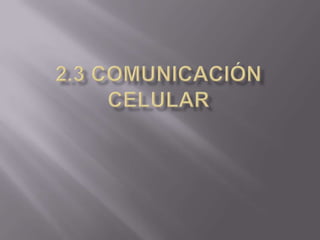 2.3 Comunicación celular 