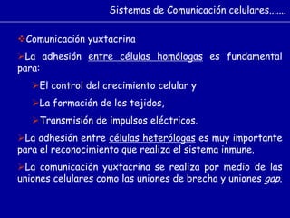 Comunicación yuxtacrina
La adhesión entre células homólogas es fundamental
para:
El control del crecimiento celular y
La formación de los tejidos,
Transmisión de impulsos eléctricos.
La adhesión entre células heterólogas es muy importante
para el reconocimiento que realiza el sistema inmune.
La comunicación yuxtacrina se realiza por medio de las
uniones celulares como las uniones de brecha y uniones gap.
Sistemas de Comunicación celulares.......
 