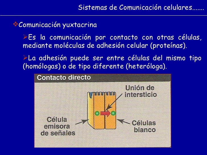 Comunicacion celular