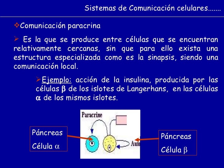 Comunicacion celular