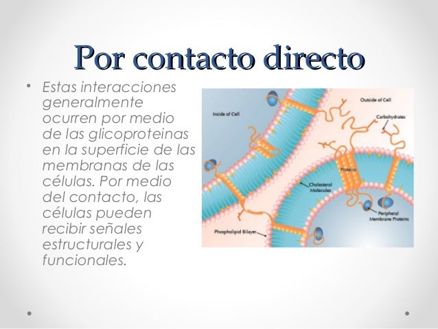 Comunicacion celular