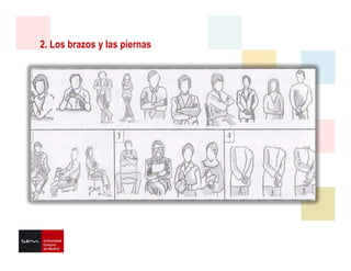 2. Los brazos y las piernas
 