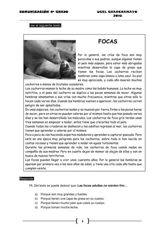 COMUNICACIÓN 4ª GRADO UGEL CHANCHAMAYO
2016
4
Lee el siguiente texto:
FOCAS
Por lo general, las crías de foca son muy
parecidas a sus padres, aunque algunas tienen
el pelo más espeso, para estar más abrigadas
mientras desarrollan la capa de grasa que
tienen las focas. Los cachorros reciben
nombres como capa blanca o lomo azul. Su piel
es muy apreciada, y cada año mueren muchos
cachorros a manos de brutales cazadores.
Los cachorros maman la leche de su madre como los bebés humanos. La leche es muy
nutritiva, y el peso del cachorro se duplica a las pocas semanas de nacer. Algunas
hembras amamantan a sus crías con mucha frecuencia, mientras que otras sólo lo
hacen cada varios días. Cuando las hembras vuelven a aparecer, los cachorros corren
peligro de ser aplastados.
En unas especies, los cachorros nadan y se mueven por tierra firme a las pocas horas
de nacer, pero en otras no pueden valerse por sí mismos hasta que han pasado varios
días y se les han desarrollado los músculos. Los cachorros de foca gris tardan unas
tres semanas en empezar a nadar; antes tiene que crecerles todo el pelo.
Cuando todos los criaderos se deshacen y los adultos regresan al mar, los cachorros
tienen que aprender a valerse por sí mismos.
Poco a poco se van haciendo expertos nadadores y aprenden a capturar pescado. Pero
esta es una época muy peligrosa para los cachorros, sobre todo si han nacido en
costas rocosas y tienen que aprender a nadar en aguas turbulentas.
Durante las primeras semanas de vida, los cachorros de foca común nadan en
compañía de sus madres. Pero en cuanto dejan de mamar se alejan de ellas y van en
busca de nuevos territorios.
Las focas pueden llegar a vivir unos cuarenta años. Por lo general las hembras se
aparean por primera vez a los seis años de edad, y tiene una cría cada año hasta que
cumplen veinte.
Responde:
11. Del texto se puede deducir que: Las focas adultas no sienten frío…
a) Porque son muy grandes y fuertes.
b) Porque tienen una capa de grasa en su cuerpo.
c) Porque tienen mucho pelo que cubre su cuerpo.
d) Porque toman mucha leche.
 