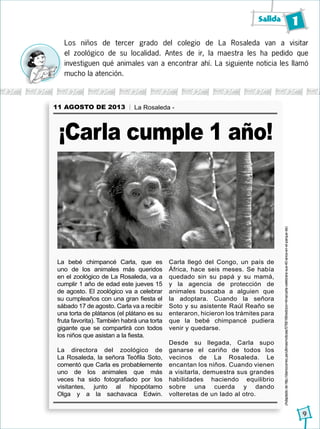 Salida 1
9
11 AGOSTO DE 2013 La Rosaleda -
La bebé chimpancé Carla, que es
uno de los animales más queridos
en el zoológico de La Rosaleda, va a
cumplir 1 año de edad este jueves 15
de agosto. El zoológico va a celebrar
su cumpleaños con una gran fiesta el
sábado 17 de agosto. Carla va a recibir
una torta de plátanos (el plátano es su
fruta favorita). También habrá una torta
gigante que se compartirá con todos
los niños que asistan a la fiesta.
La directora del zoológico de
La Rosaleda, la señora Teófila Soto,
comentó que Carla es probablemente
uno de los animales que más
veces ha sido fotografiado por los
visitantes, junto al hipopótamo
Olga y a la sachavaca Edwin.
Carla llegó del Congo, un país de
África, hace seis meses. Se había
quedado sin su papá y su mamá,
y la agencia de protección de
animales buscaba a alguien que
la adoptara. Cuando la señora
Soto y su asistente Raúl Reaño se
enteraron, hicieron los trámites para
que la bebé chimpancé pudiera
venir y quedarse.
Desde su llegada, Carla supo
ganarse el cariño de todos los
vecinos de La Rosaleda. Le
encantan los niños. Cuando vienen
a visitarla, demuestra sus grandes
habilidades haciendo equilibrio
sobre una cuerda y dando
volteretas de un lado al otro.
(Adaptadodehttp://diariocorreo.pe/ultimas/noticias/5768166/edicion+lima/carla-celebrara-sus-40-anos-en-el-parque-de)
¡Carla cumple 1 año!
Los niños de tercer grado del colegio de La Rosaleda van a visitar
el zoológico de su localidad. Antes de ir, la maestra les ha pedido que
investiguen qué animales van a encontrar ahí. La siguiente noticia les llamó
mucho la atención.
 